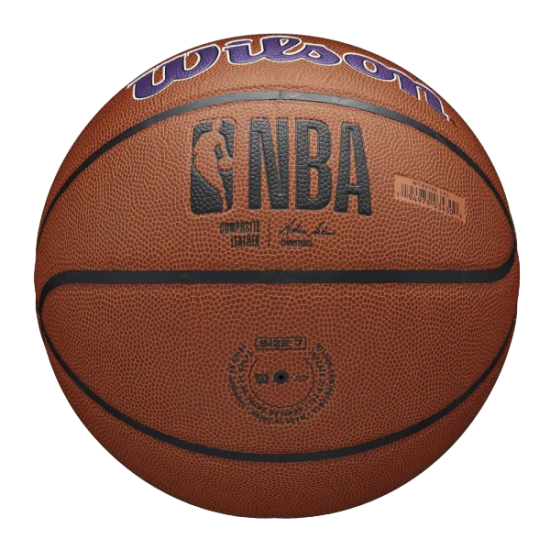 Wilson мяч баскетбольный NBA Team Alliance LA Lakers