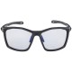 Alpina  солнцезащитные очки Twist Five VLM+ cat. 1-3